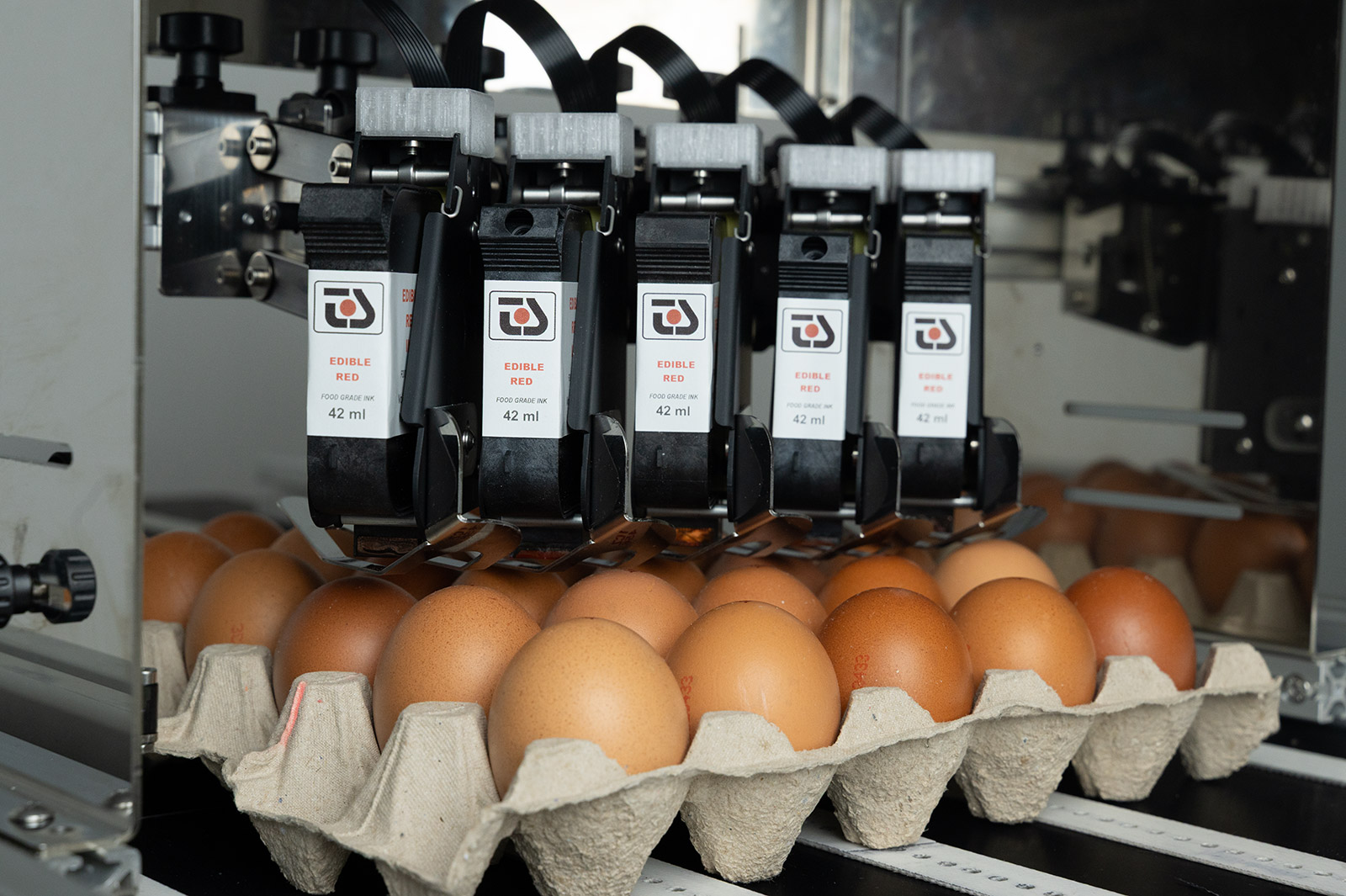 Tiskárna pro potisk vajíček a vajíčkových boxů od TS Electronis Zlín, s.r.o.