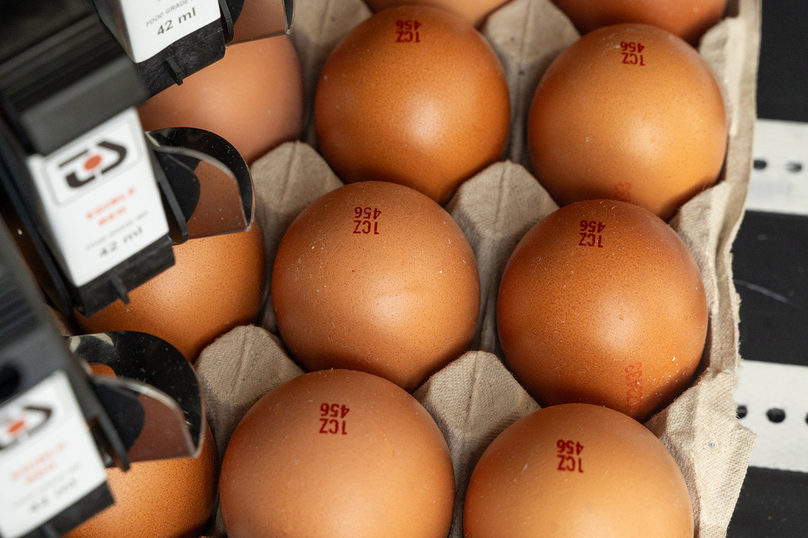 Tiskárna pro potisk vajíček a vajíčkových boxů od TS Electronis Zlín, s.r.o.