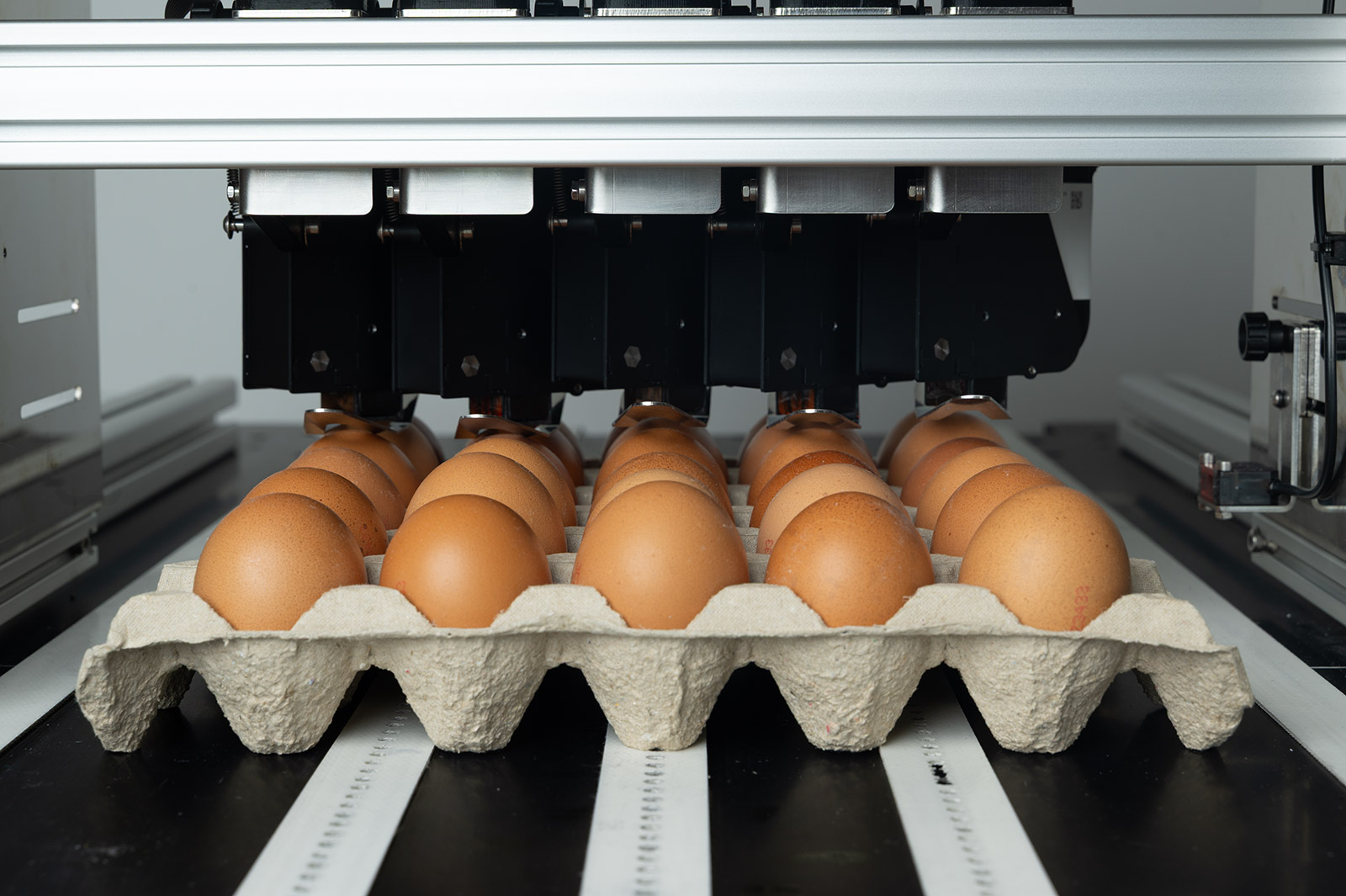 Tiskárna pro potisk vajíček a vajíčkových boxů od TS Electronis Zlín, s.r.o.