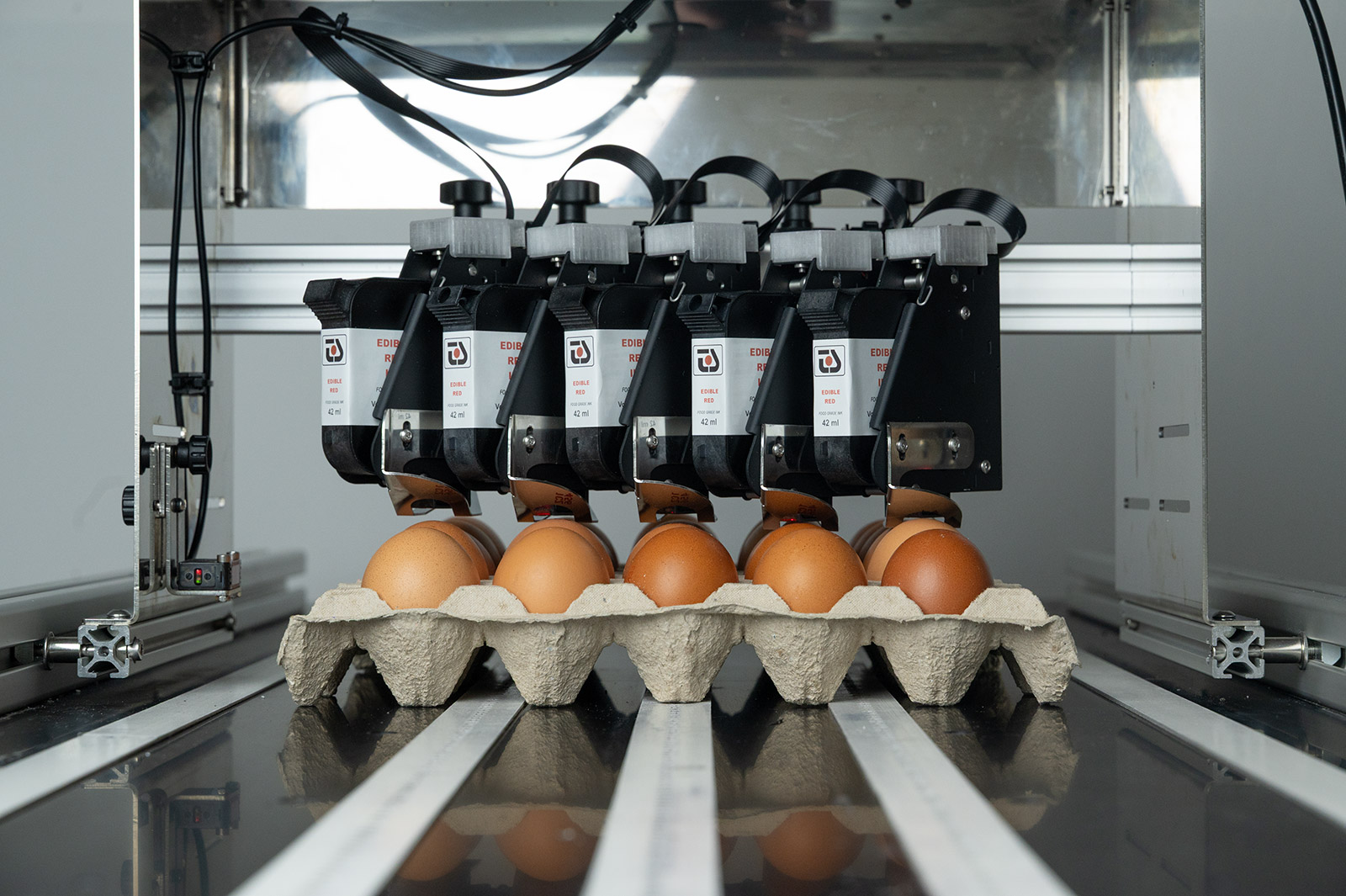 Tiskárna pro potisk vajíček a vajíčkových boxů od TS Electronis Zlín, s.r.o.